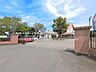 周辺：白岡市立南小学校（1200m）