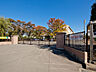 周辺：白岡市立南小学校（420m）