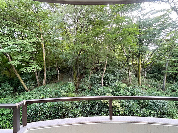 窓からの眺め