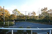 景色