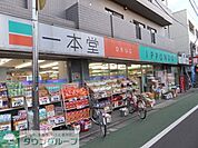 ドラッグストア一本堂 徒歩4分。ドラックストア 250m