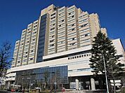 国立国際医療研究センター病院 214m