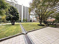 中庭(1)