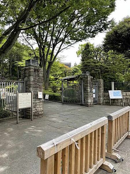 周辺を拡大表示