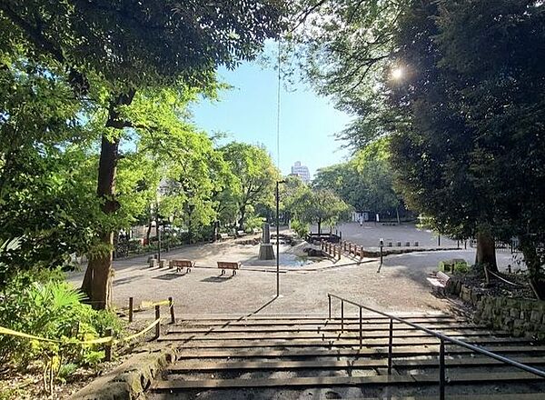 周辺を拡大表示