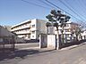 周辺：市川第三中学校（667m）