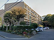 全戸南東向き