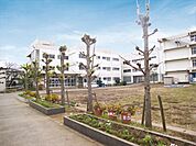 中国分小学校（530m）