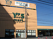 ワイズマートディスカ西船本郷店（728m）
