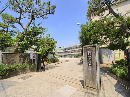 船橋小学校(383m)