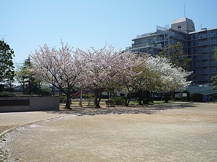 行徳南部公園（240m）