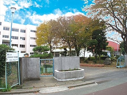 行田西小学校（1200m）