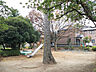 周辺：一本松公園206ｍ