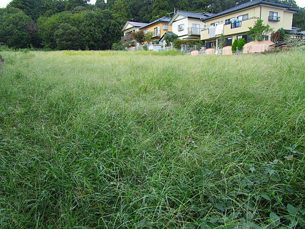室内を拡大表示