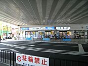 アルカ 248m
