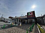 デイリーカナートイズミヤ庄内店 390m