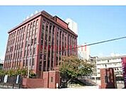 私立大阪成蹊大学 1231m