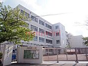 高槻市立高槻小学校 320m
