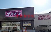 コスモス 350m