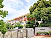 茨木市立春日丘小学校 515m