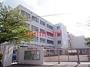 高槻市立高槻小学校 320m