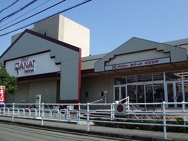 画像27:デイリーカナートイズミヤ玉手店(スーパー)まで462m