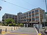 周辺：柏原市立柏原小学校(小学校)まで716m