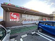 スギ薬局柏原玉手店(ドラッグストア)まで864m