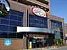周辺：ザ・ダイソー河内国分店(ショッピングセンター)まで1382m
