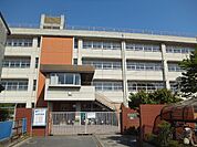柏原市立玉手中学校(中学校)まで1360m