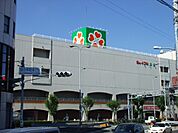 ライフ国分店(スーパー)まで759m
