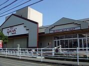 デイリーカナートイズミヤ玉手店(スーパー)まで1918m