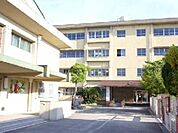 八尾市立東山本小学校(小学校)まで855m