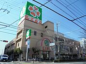 ライフ八尾店(スーパー)まで517m