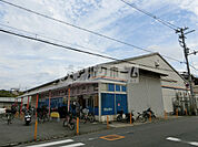 サンディ陽光園店(スーパー)まで431m
