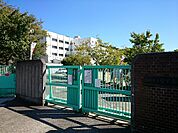 柏原市立堅下南小学校(小学校)まで420m
