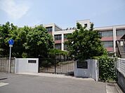 八尾市立志紀小学校(小学校)まで902m