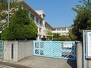 柏原市立玉手小学校(小学校)まで394m