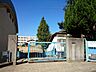 周辺：柏原市立堅下小学校(小学校)まで560m