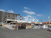 ドン・キホーテ八尾店(ショッピングセンター)まで798m