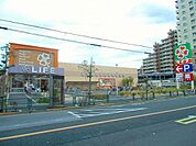 ライフ奥戸街道店 徒歩5分。 330m