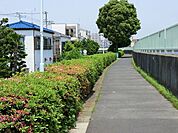 中川右岸緑道公園 徒歩15分。 1180m