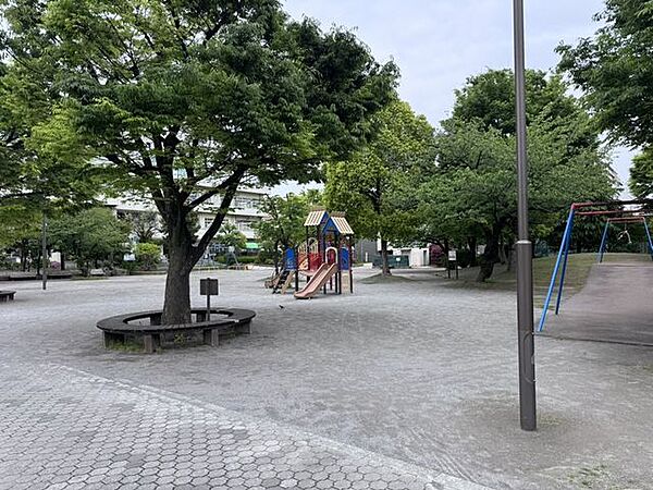 周辺を拡大表示