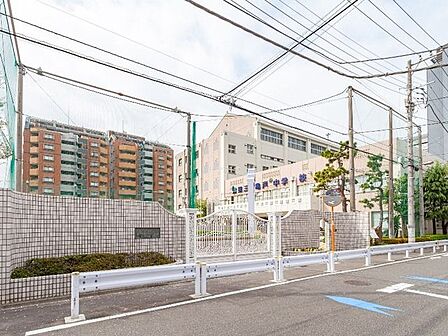 江東区立第三亀戸中学校 260m