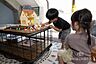 その他：子育て世代の意見を取り入れた、実際に住むご家族を想定した家づくりを行っております！