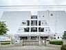 周辺：足立区立六月中学校 徒歩4分。 320m