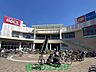 周辺：ベルクス足立花畑中央店 1000m