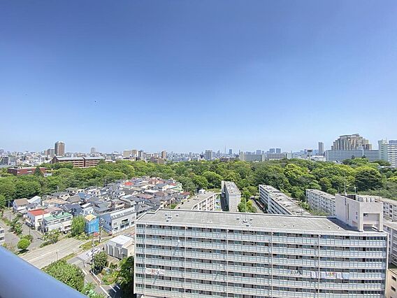 住戸からの眺望