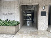 綺麗に整えられた植栽が印象的なアプローチ。マンションの顔として、居住者やゲストを心地よく迎え入れます。