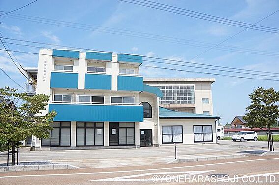 アプリコットA_外観_1